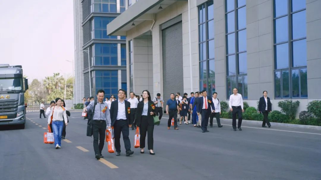 dcbox小金库集团