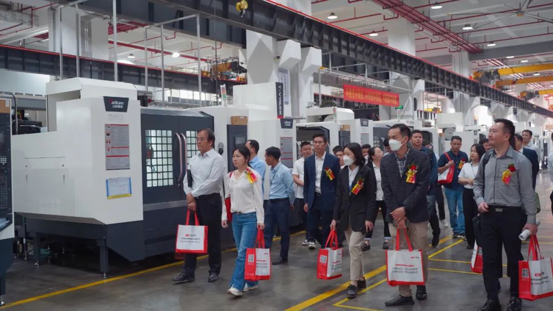 dcbox小金库集团