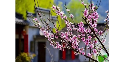 阳春三月，台群精机一大波展会即将来袭，您准备好了吗？